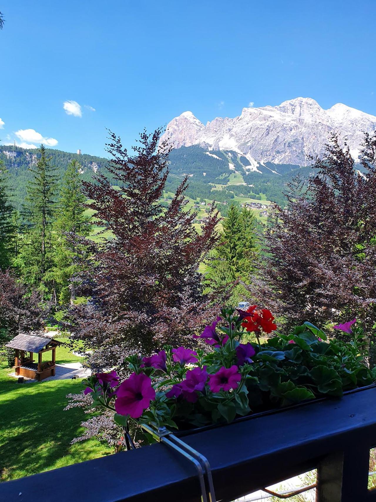 B&B Cristallo Cortina d'Ampezzo Exterior photo